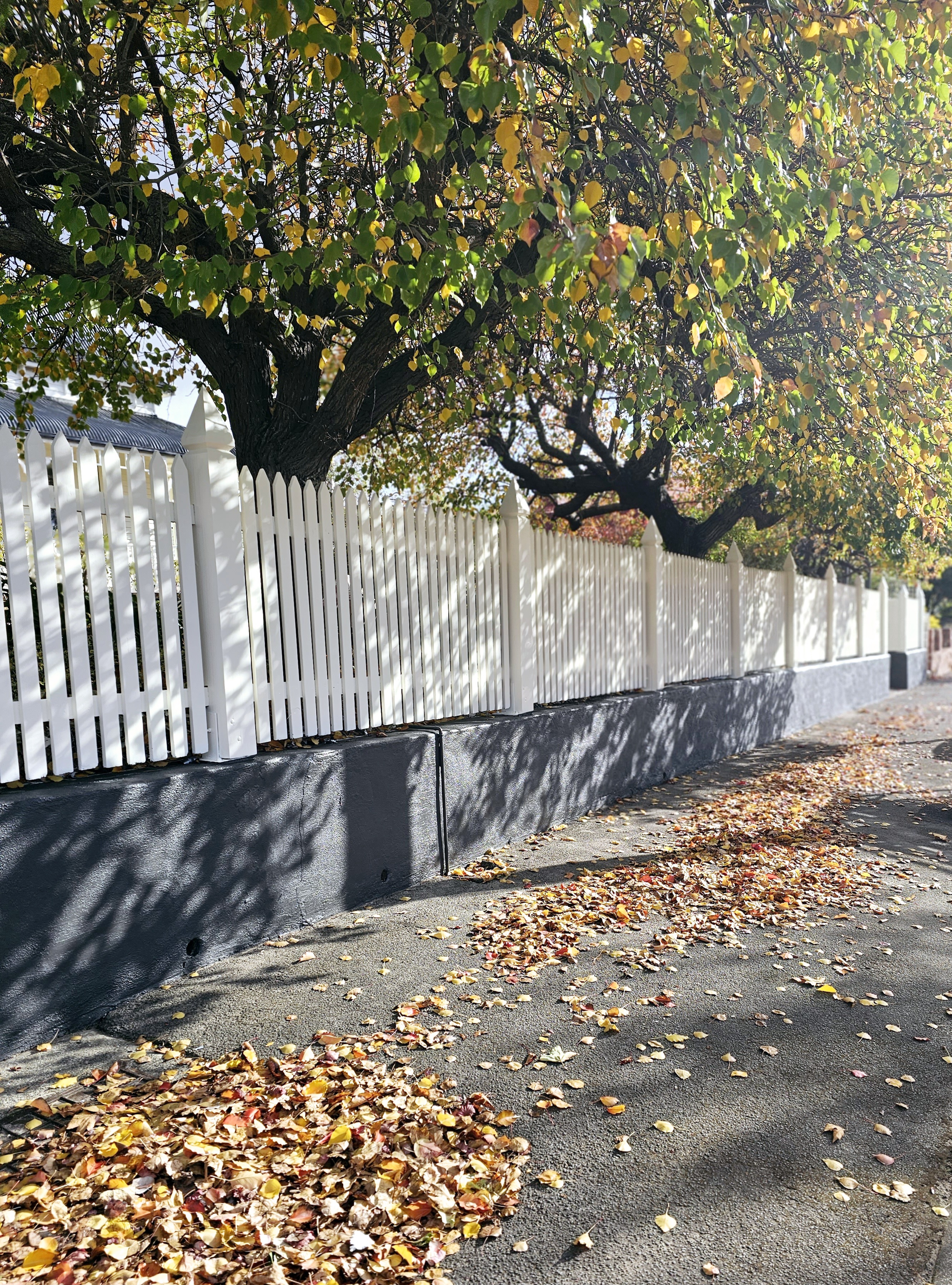 exterior-painter-hobart-white-picket-fence
